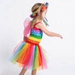 Fairy Dress Rainbow - Medium - 4 - 6 years